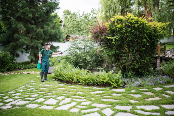 Best Mosquito Control Services  in Cactus, TX