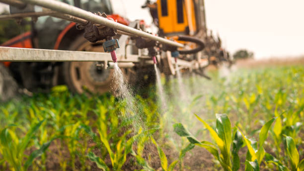 Best Best Pest Control Companies  in Cactus, TX